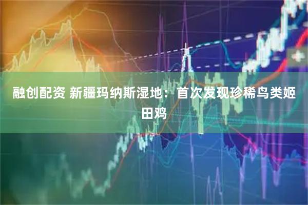 融创配资 新疆玛纳斯湿地：首次发现珍稀鸟类姬田鸡