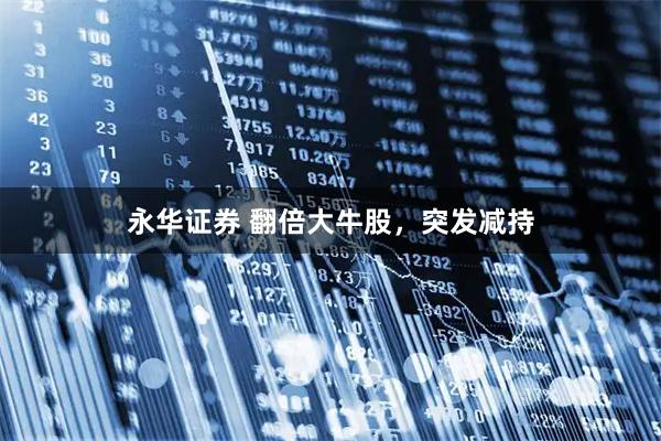 永华证券 翻倍大牛股，突发减持