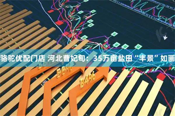 骆驼优配门店 河北曹妃甸：35万亩盐田“丰景”如画